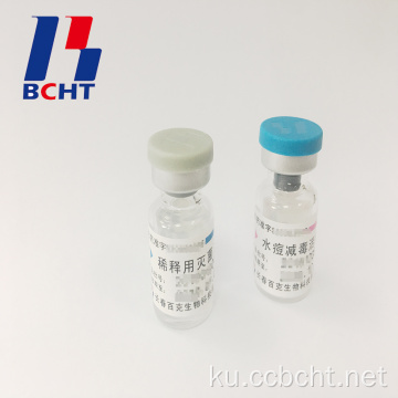 Bulx of Chicken Pox Vaccine Lyophilized